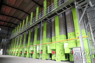 中联重科谷王装备 守护粮安，力擎夏收，眉杉中联展现烘干硬实力