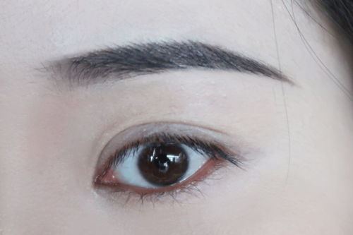 真人测评 16款眉部产品，眉杉中联能否拯救“无眉星人”？